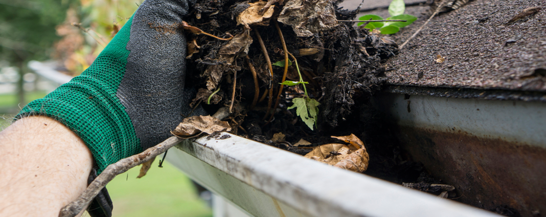 Gutter Repair & Install Austin handyman service
